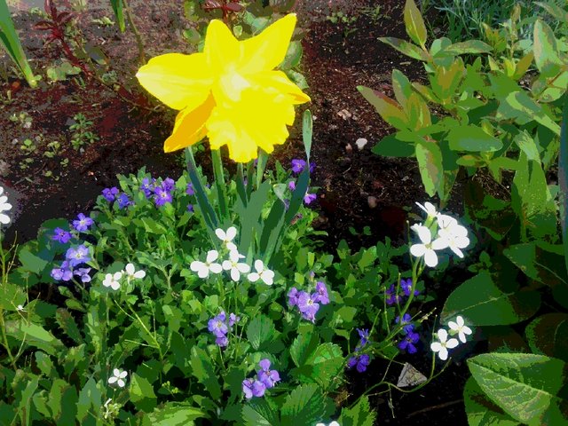 20190514_100829.jpg - torii99