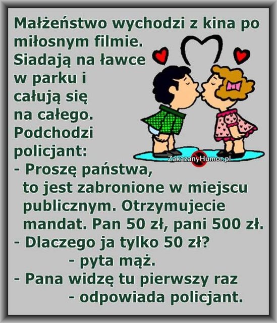 60298619_1347182818763855_7761285467588263936_n.jpg - sylwester1963bis