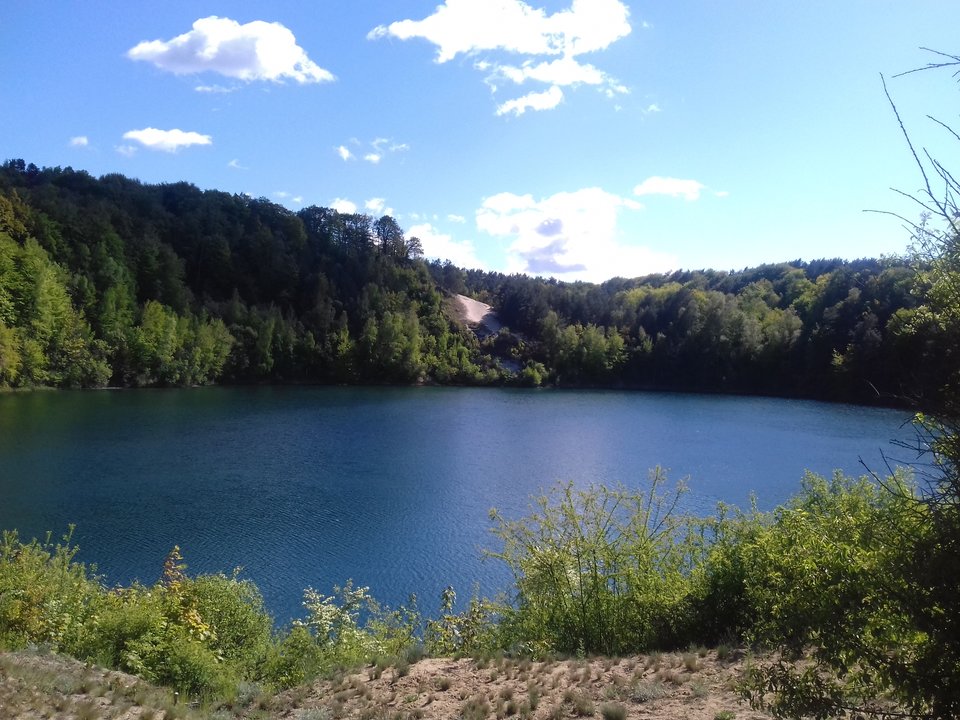 20190514_160839.jpg - torii99