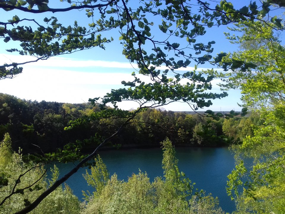 20190514_162248.jpg - torii99