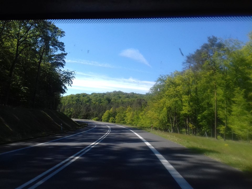 20190514_154908.jpg - torii99