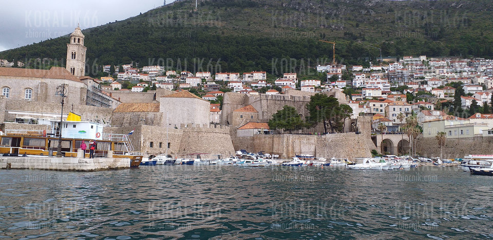 20190515_143830.jpg - Koralik66