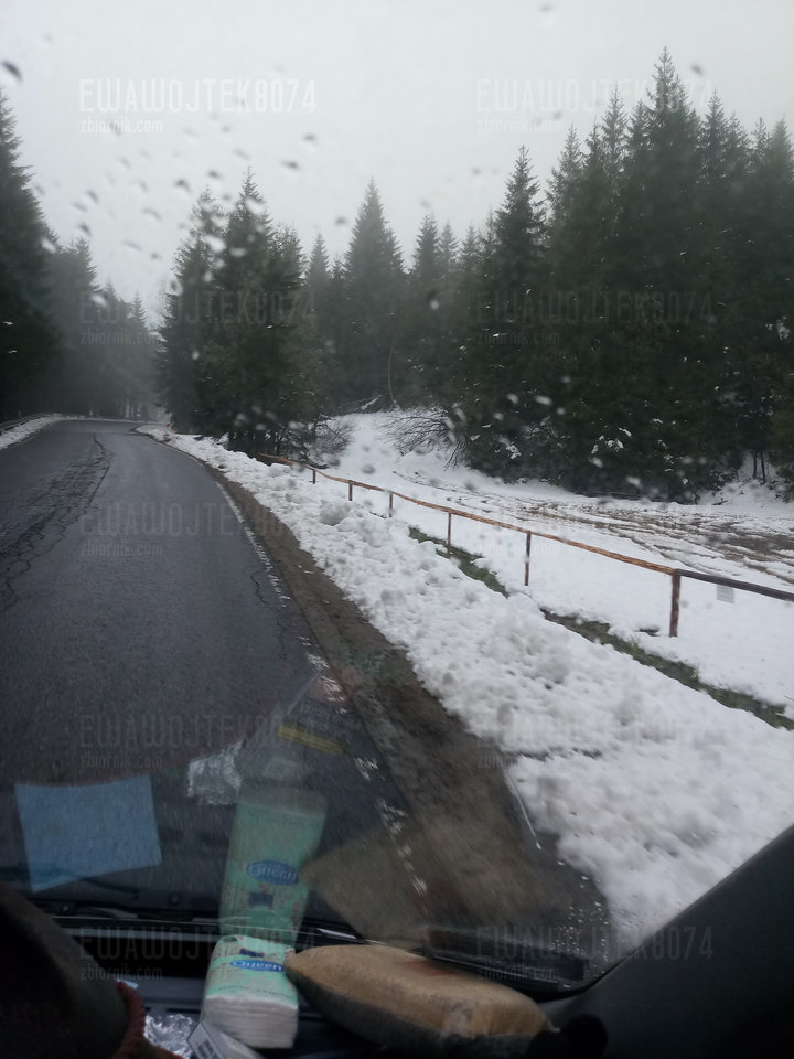 20190515_140621.jpg - ewawojtek8074