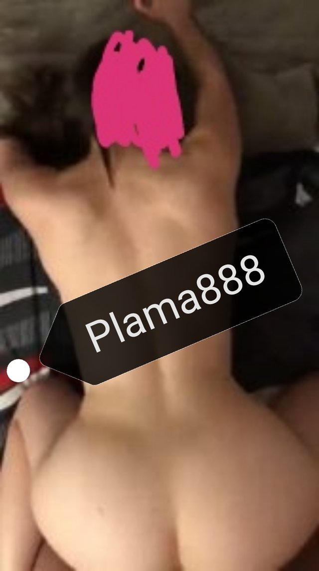 plama888