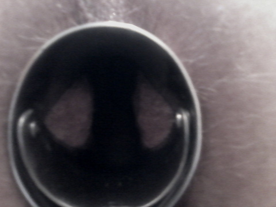 007(1).jpg - nowy7575