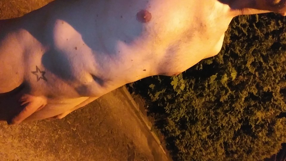 20190517_001710.jpg - NudystMaleLove