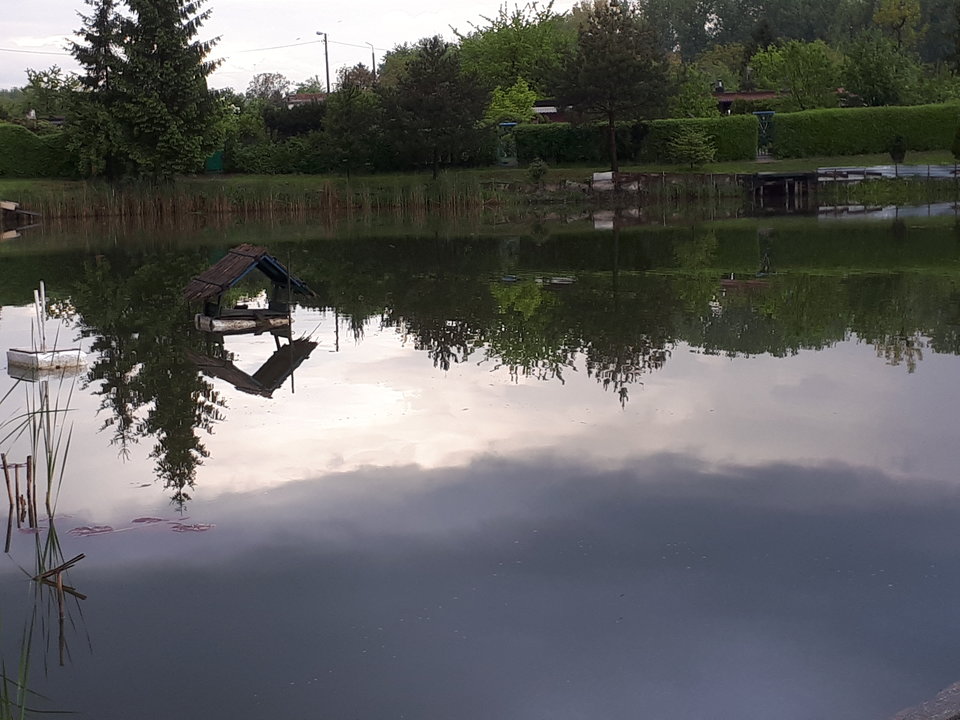 20190510_185735.jpg - gg1975