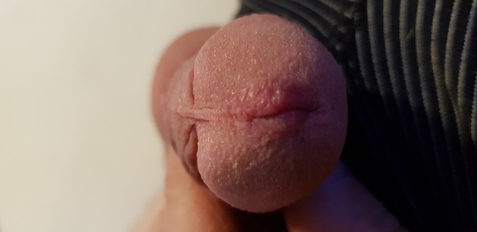 IMG_20190517_2030572278329189478596006.jpg - robin266