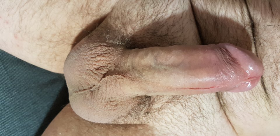 IMG_20190518_051334252745244580666735.jpg - robin266