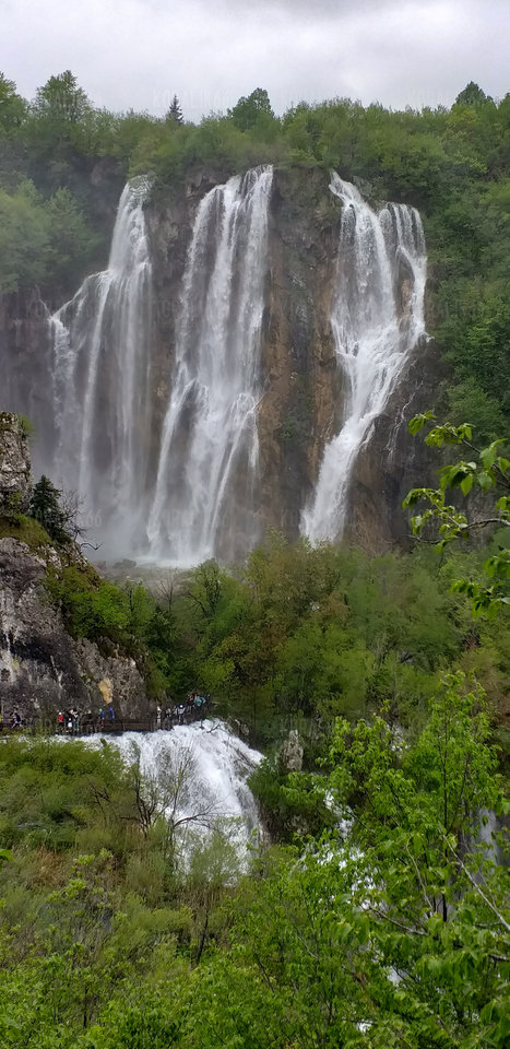 20190516_152438.jpg - Koralik66