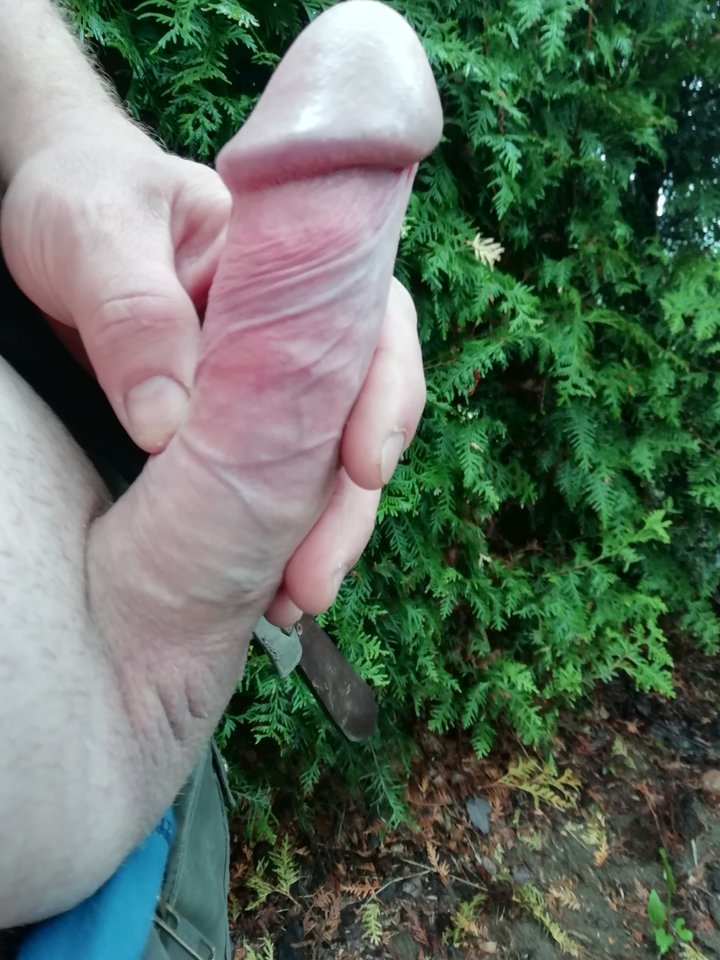 IMG_20190518_092143.jpg - hej34