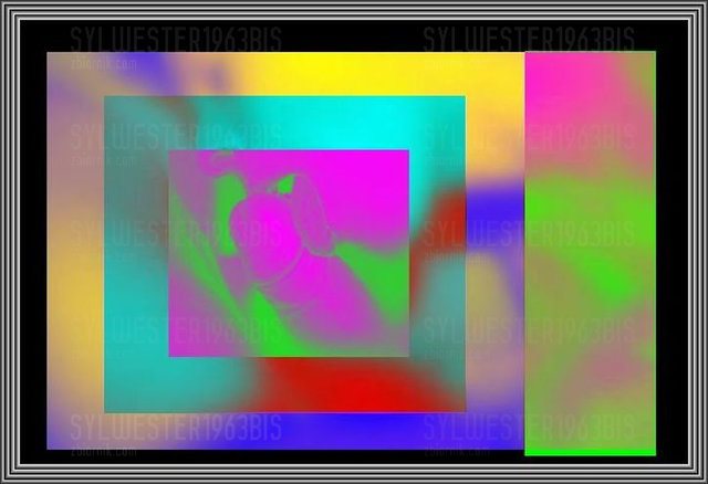 345_3421_44.jpg - sylwester1963bis