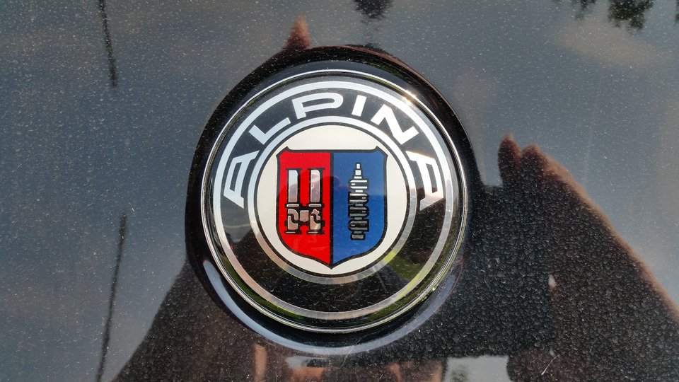 orgia zmysłów > - QRKIN