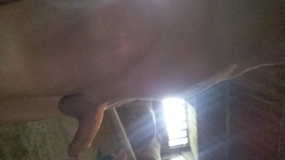 20190516_123839.jpg - samoatari
