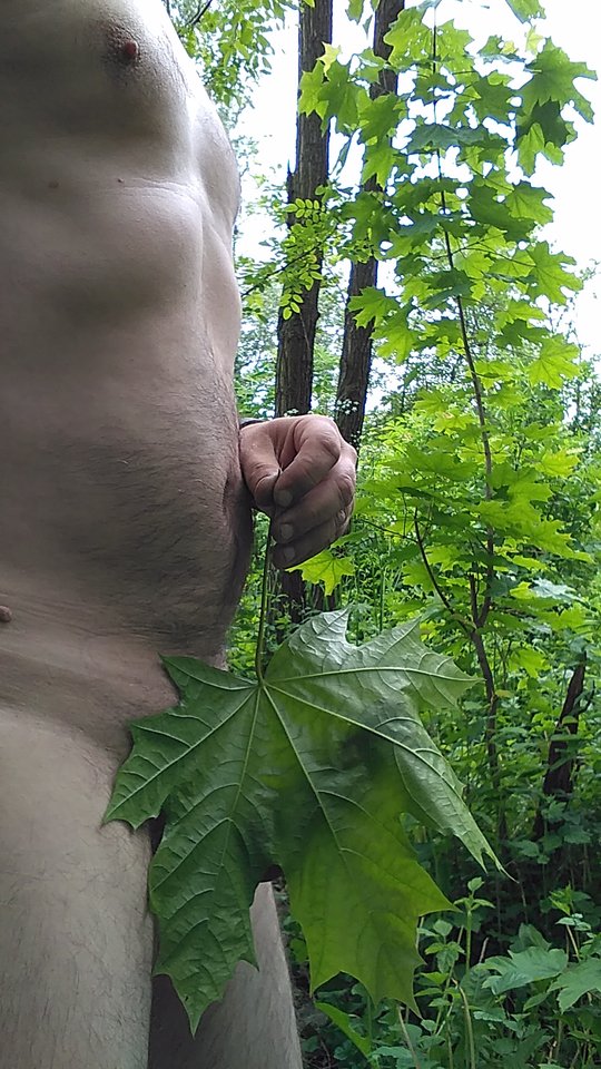 IMG_20190520_163923.jpg - xxxMarcoxxx