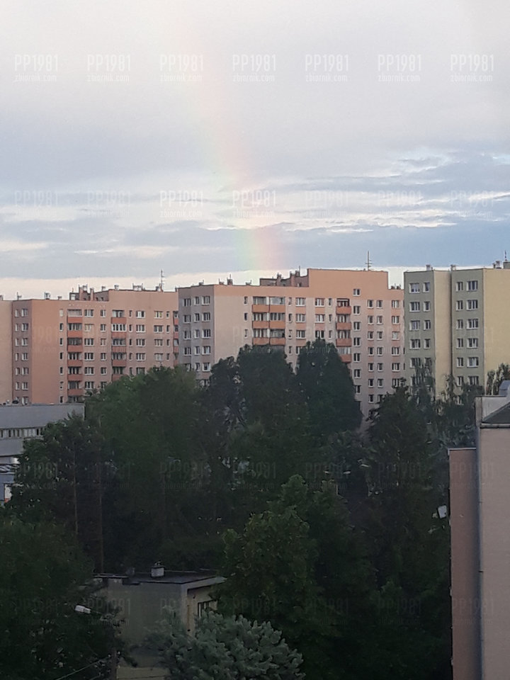 20190522_192738.jpg - pp1981