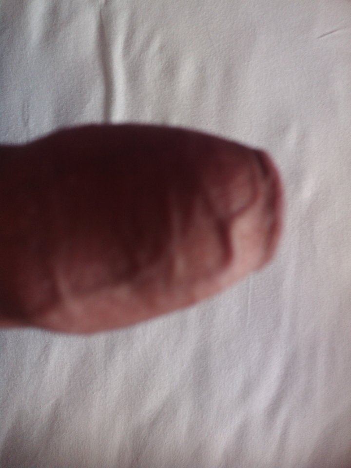 IMG_20141104_102422.jpg - rocco9