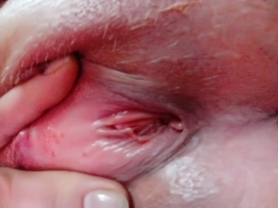 20190524_071636.jpg - Ona33On48