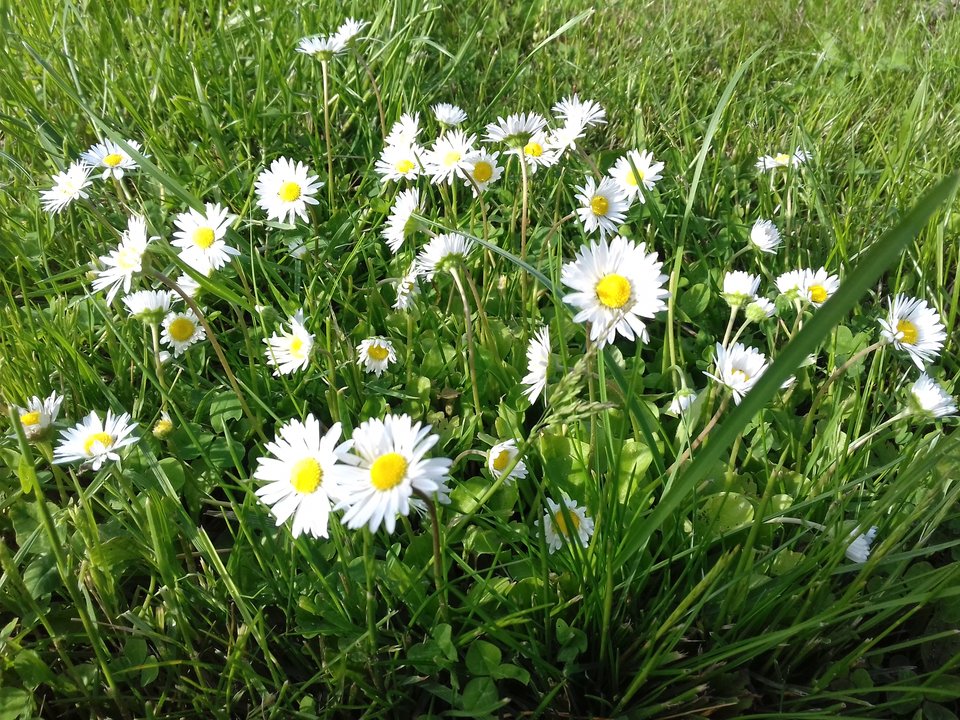 20190523_173427.jpg - torii99