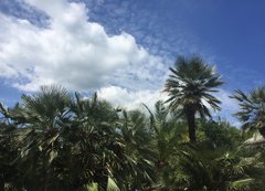 widoki z PRL-u 😀24-26 maja impreza góry !!!