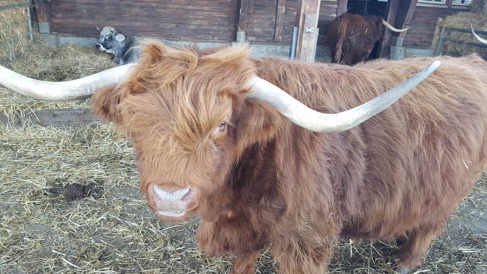 20190224_161750.jpg - SmokingKillsCH