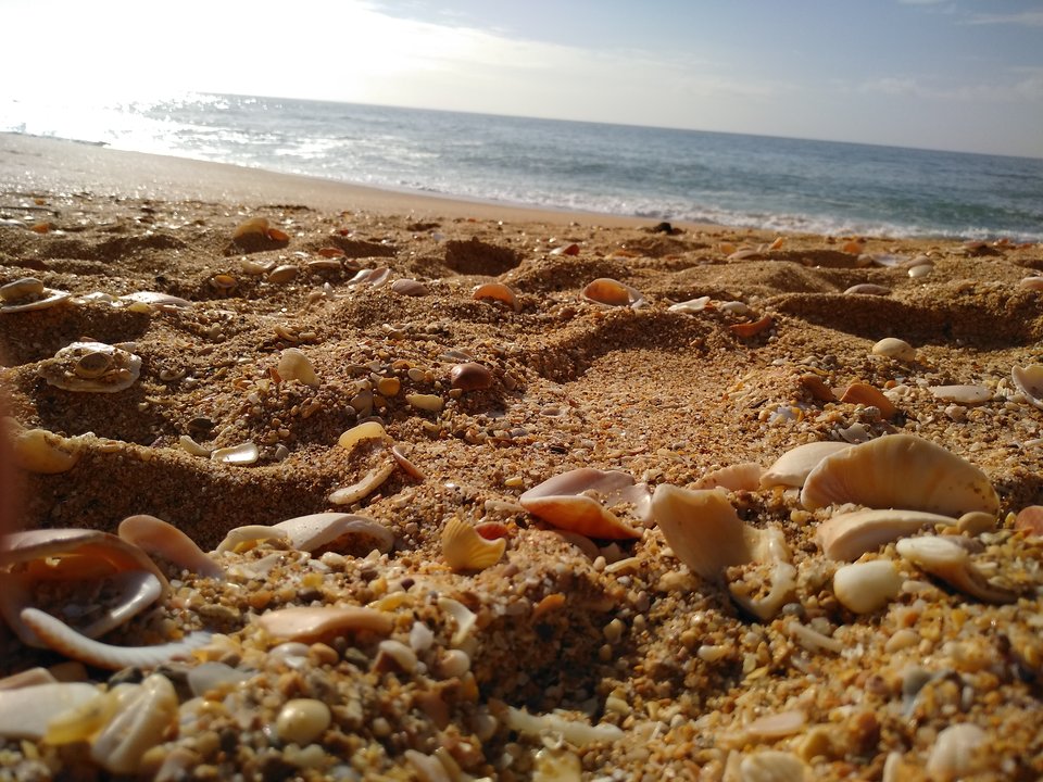 IMG_20181214_104902.jpg - Dawid33Slask