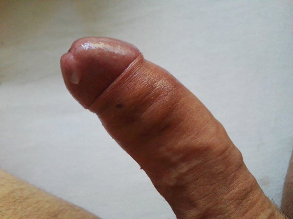 IMG_20190526_113704.jpg - Wolnydr650