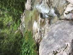 C4A2E213-0320-41CD-84B9-4F0CFA065EC5.jpeg