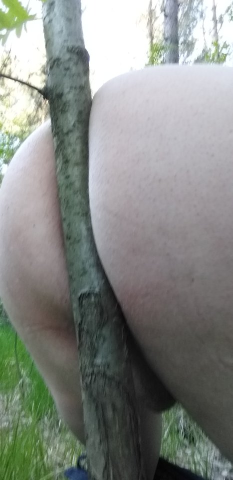 20190526_183634.jpg - analogo