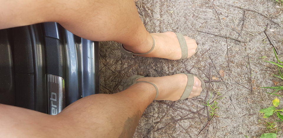 20190526_181131.jpg - paulinatrans1