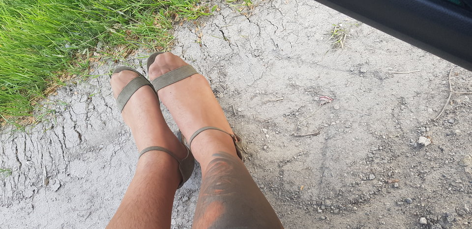 20190526_183322.jpg - paulinatrans1