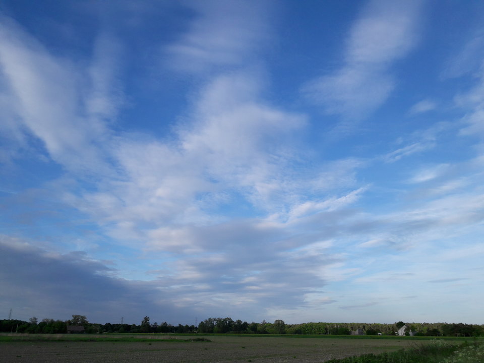 20190526_191034.jpg - Argument73