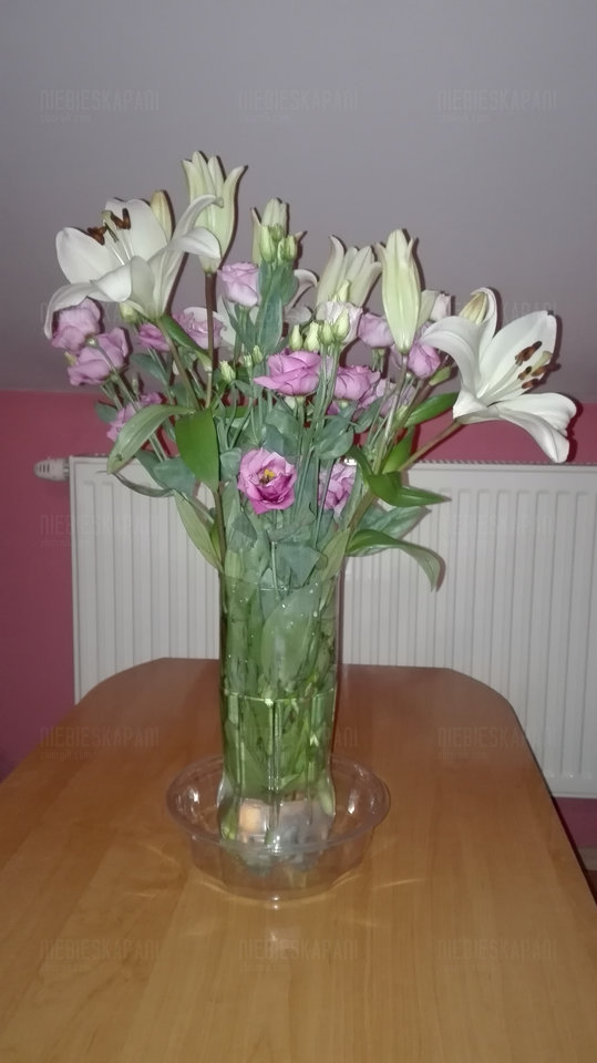 IMG_20190526_205603.jpg - NiebieskaPani