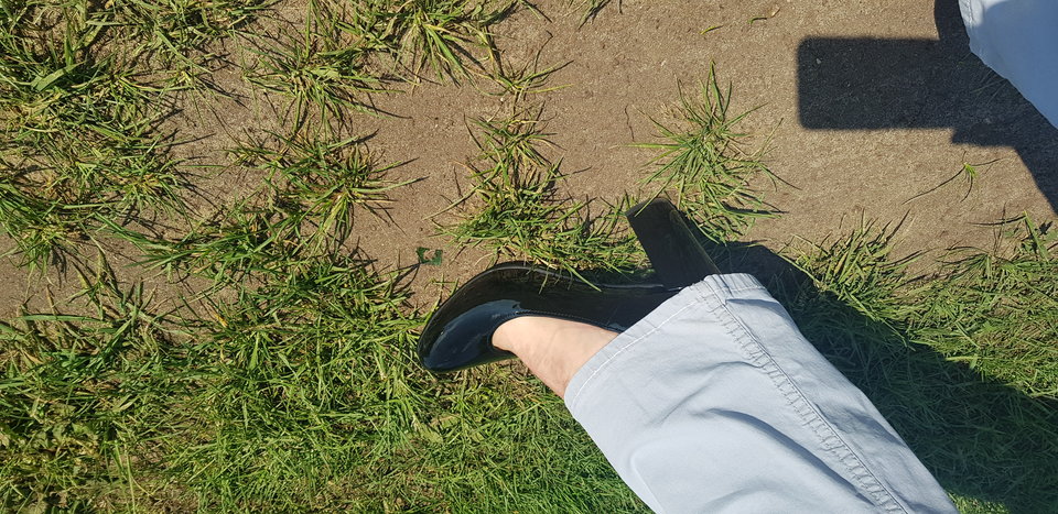 20190527_095553.jpg - monia224