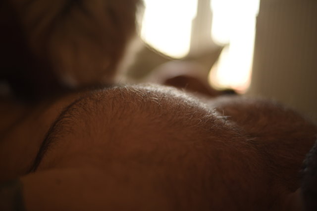 Slavegirl_and_her_Lord