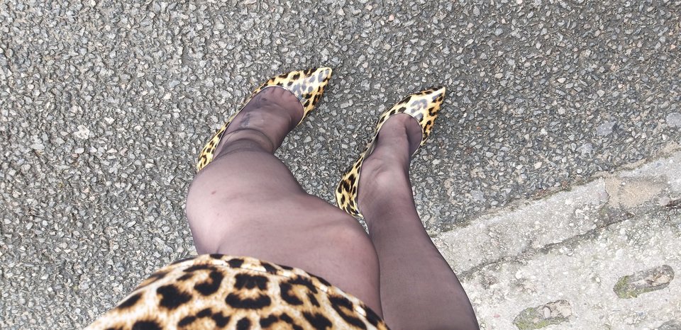 Panterkowe wyjscie😁 - Tv_Krystyna