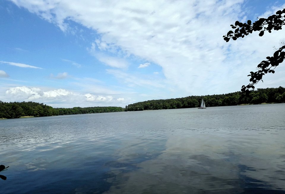 20190527_175910.jpg - Alien65