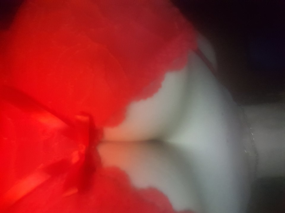 20190527_232703.jpg - zuzia3085