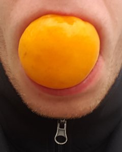 20190527_182550.jpg