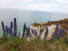 20190525_134355.jpg