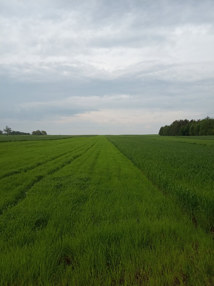 IMG_20190527_181234.jpg - Adam1890