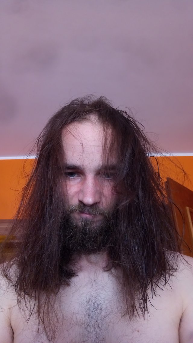 BrodaczDlugowlos