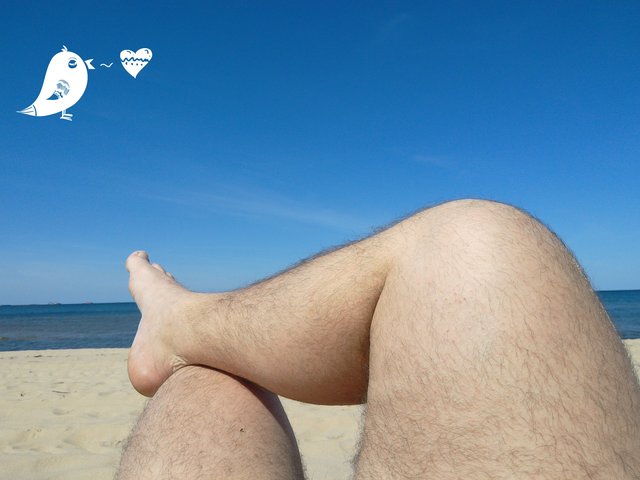 Wuspopot
