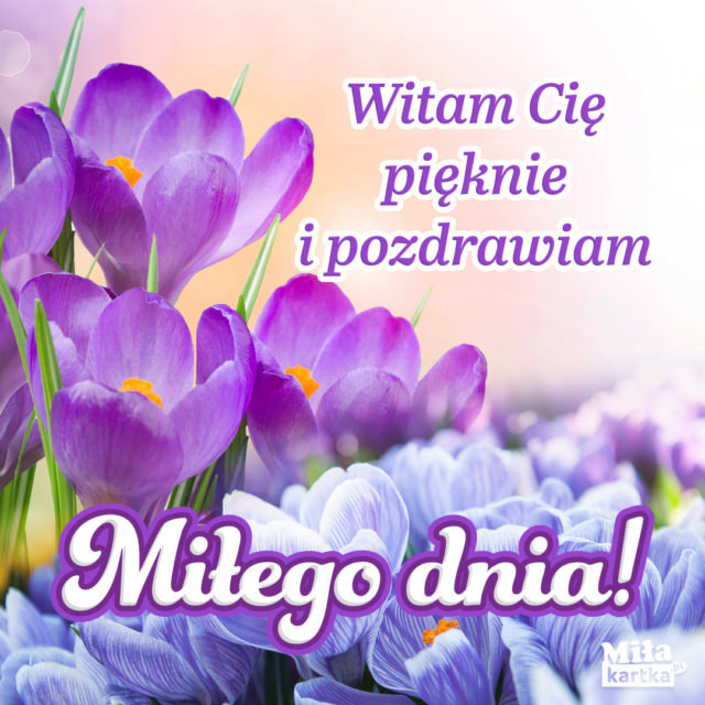 MilegoDnia_1080_01-640x640 (1).jpg - kostek1234