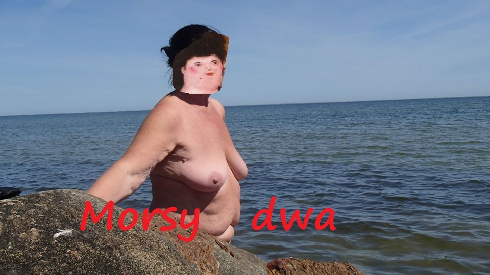 A ku ku. - Morsy_dwa