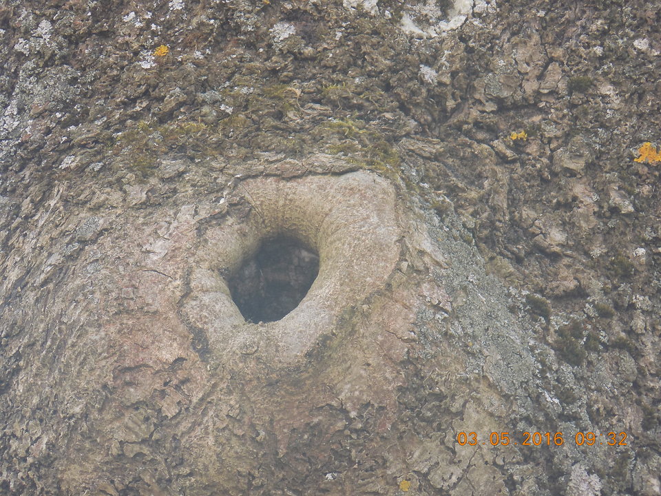 DSCN1138.JPG - 197044