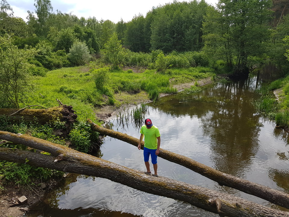 20190525_151847.jpg - Samm1983