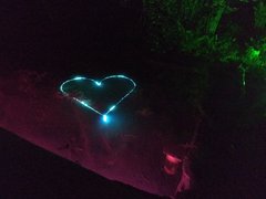 IMG_20190601_220647.jpg