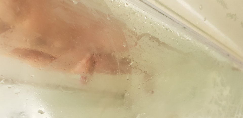 20190328_084008.jpg - katoni79