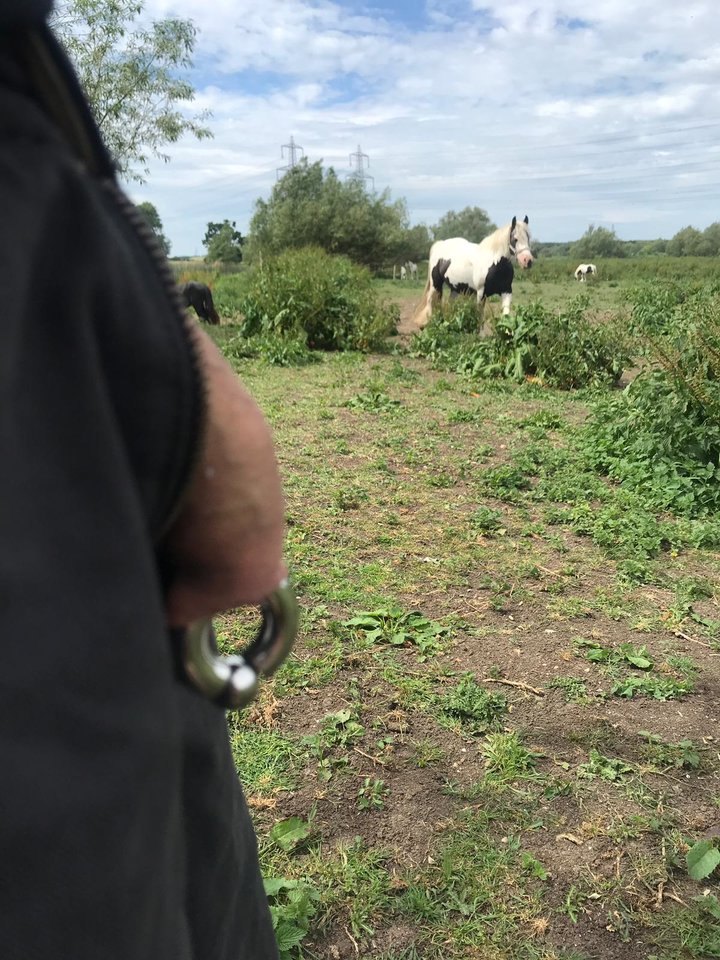 IMG-20190602-WA0003.jpg - Simonski